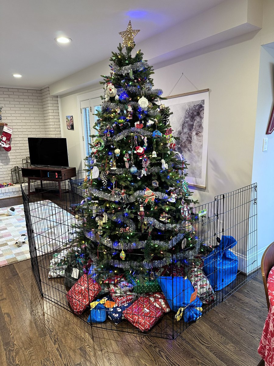 Lars Schmidt tweet media