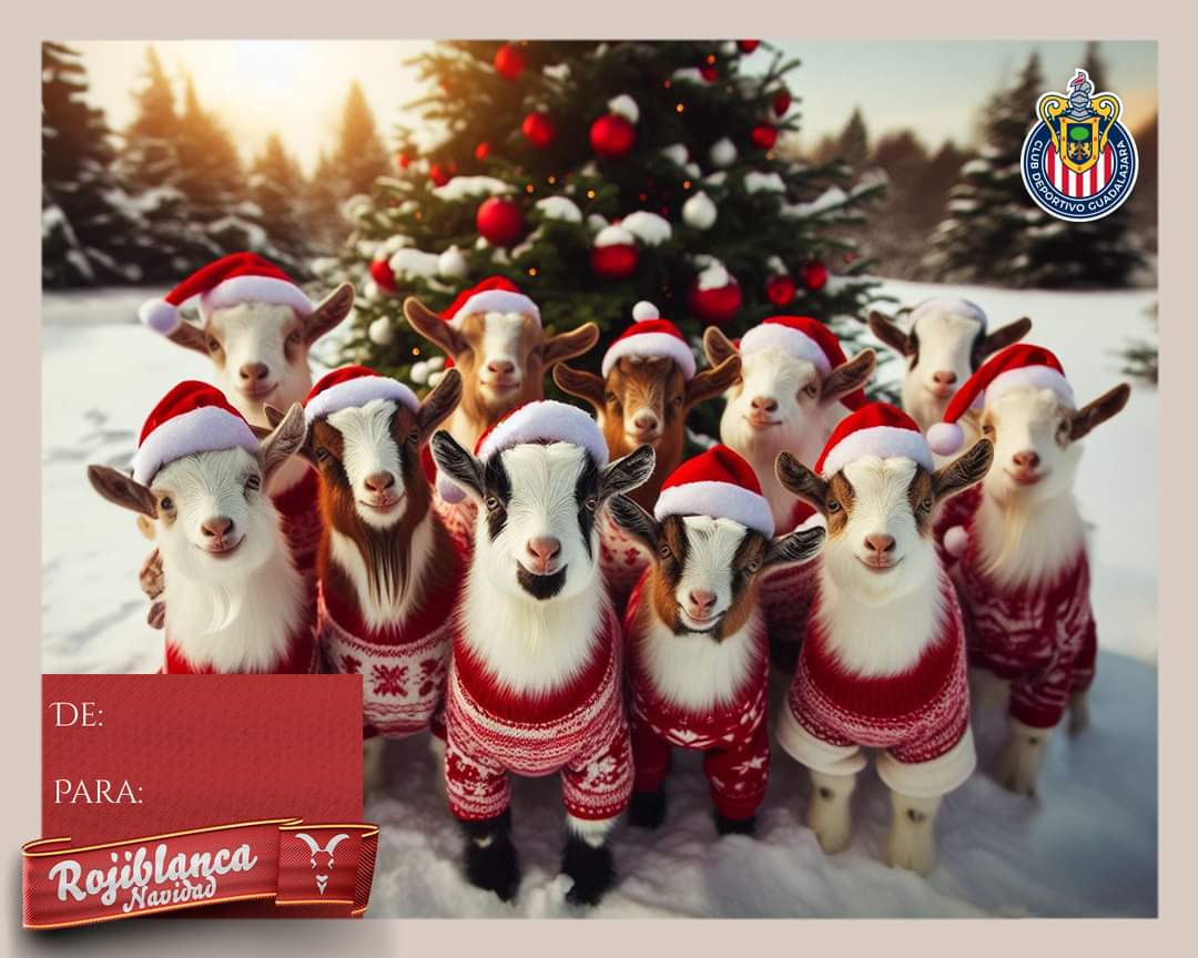LoveMerry4's tweet photo. #Rojiblancanavidad🌟🎄🎄❤🐐🤍
@Chivas
@ChivasFemenil https://t.co/6DA6GQ8A9Y