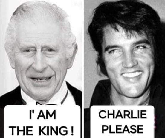 ElvisNumber1's tweet photo. 🤣 https://t.co/p0dZNlzaBi