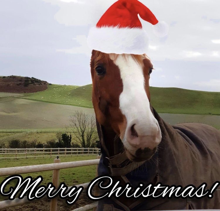 Wishing you all a Happy Christmas and a healthy New Year. Looking forward to being part of development within <a href="/swasFT/">South Western Ambulance Service</a> in 2024 working with inspirational colleagues <a href="/rbate_1/">Ross Bate</a> <a href="/neil_lentern/">Neil Lentern 💙</a> <a href="/Paulawindsor1/">Paula Windsor 💙</a>