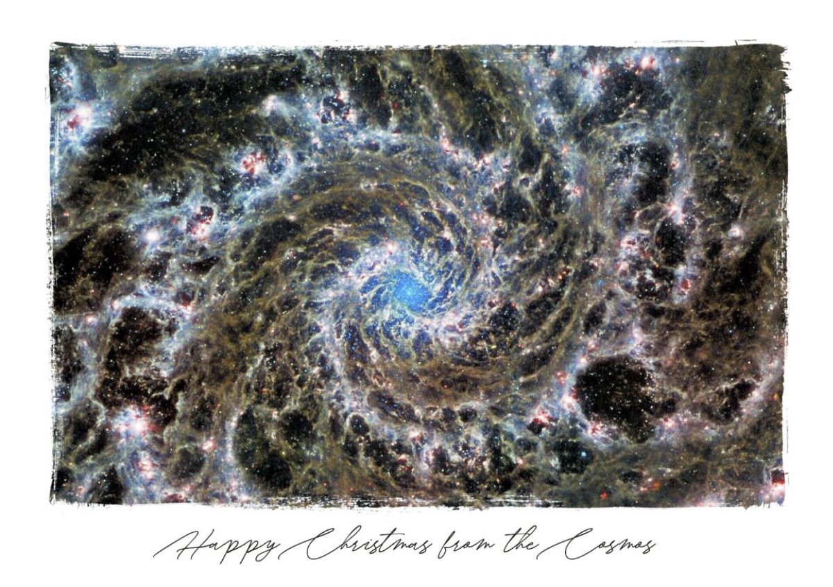 janiceleeastro's tweet photo. @NASAWebb imaging also makes for a great christmas card ✨ happiest of holidays from @PHANGSteam  ❄️🎄https://t.co/P68Wei5VAy https://t.co/NgKRkgasRs