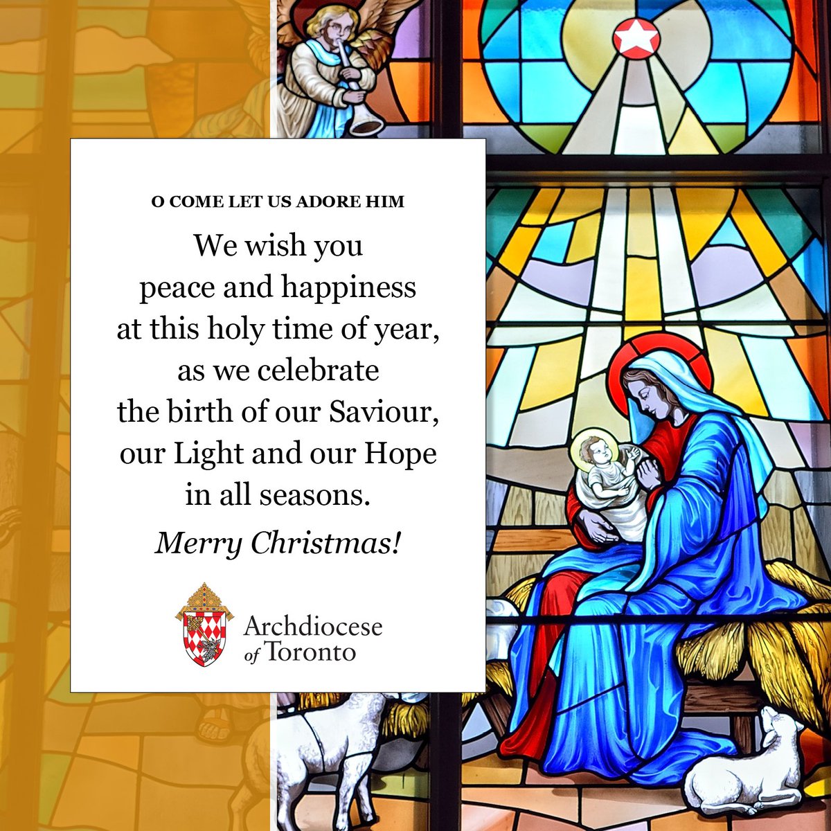 We wish you peace and happiness at this holy time of year, as we celebrate the birth of our Saviour, our Light and our Hope in all seasons. Merry Christmas! For Mass times, please contact a parish near you: archtoronto.org #catholicTO