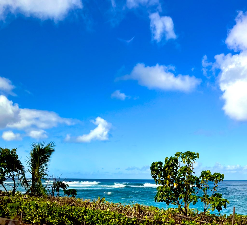 whatgreenlite's tweet photo. A #seahawks win is even sweeter with a beautiful view #vacationmode #myjobisbeach https://t.co/dXvqDWNZac