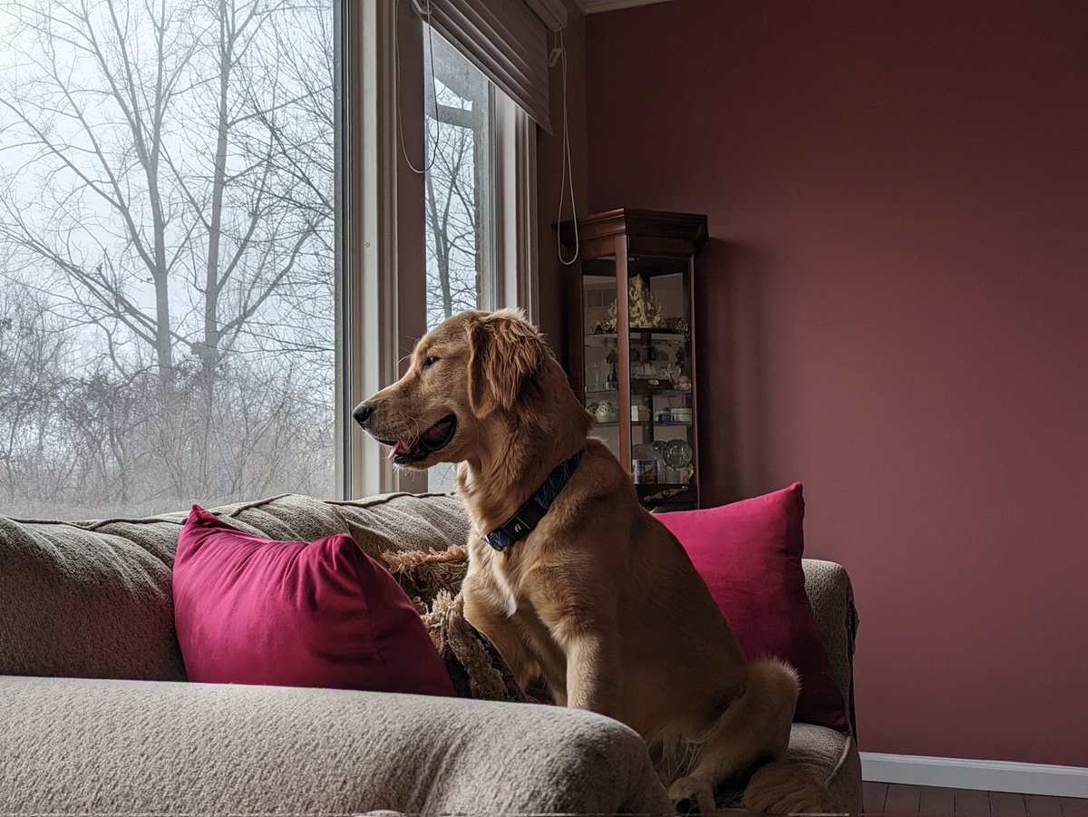 Lloyd_Braun & Mr. Morgan tweet media