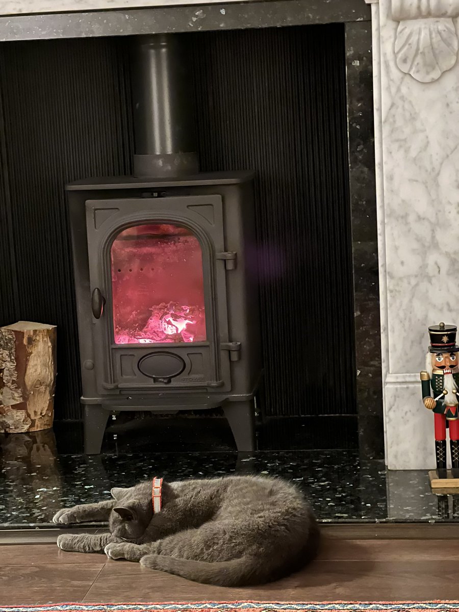 Festive greetings dear furriends 😻🎅🏻🎄I hope you’re having a relaxing time like me. I’ve been watching TV and dreaming of special treats tomorrow #CatsofChristmas