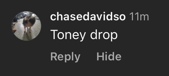 omada 🦅 tweet media