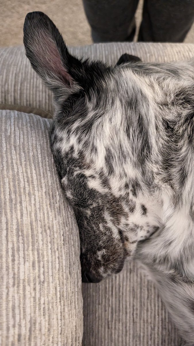 AfterCredits tweet media