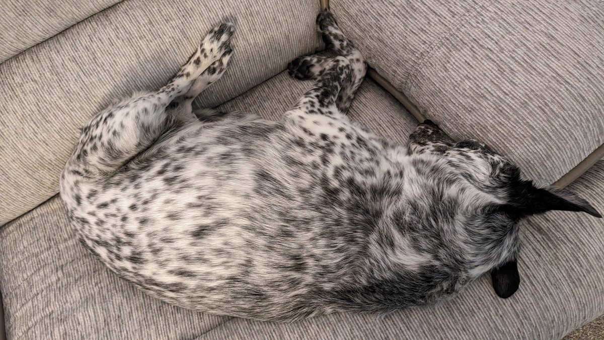 AfterCredits tweet media