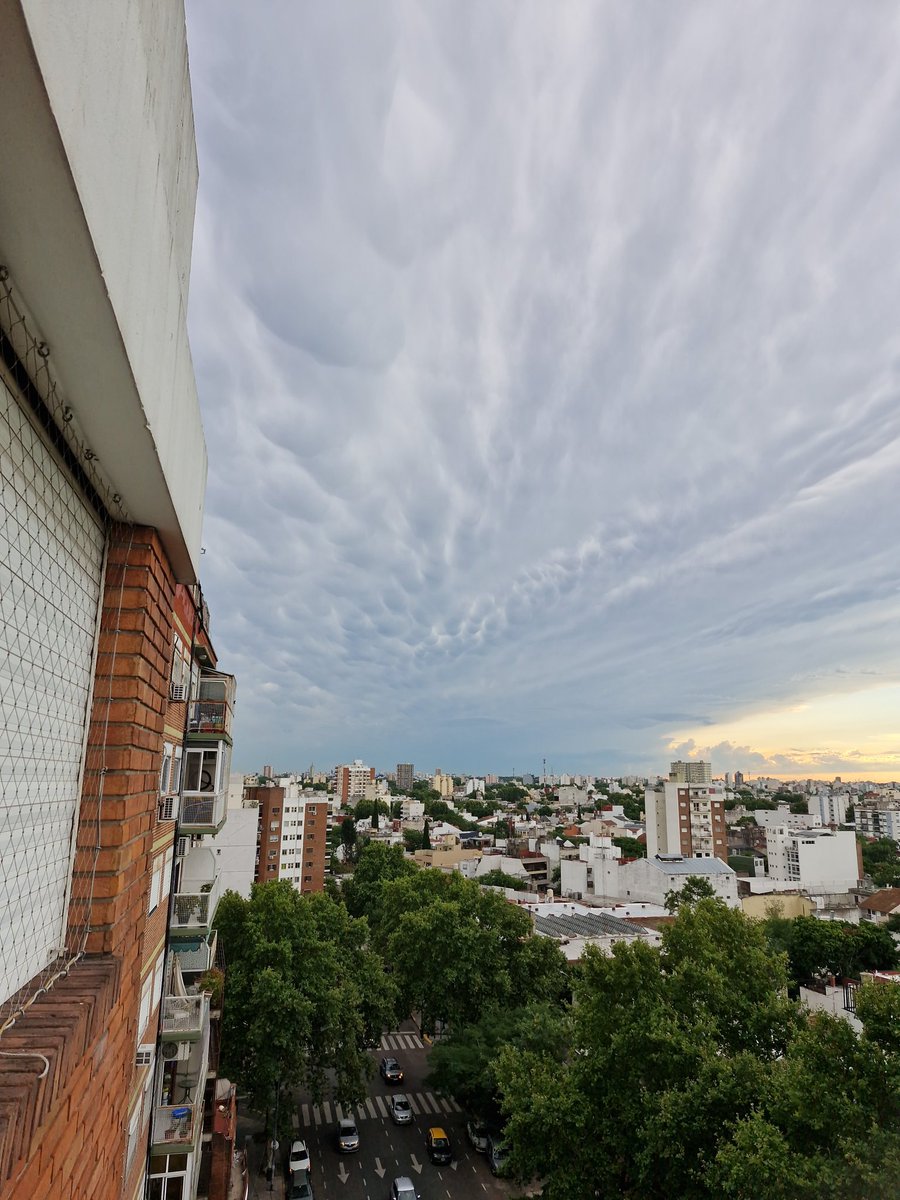 Santiago Zoffoli tweet media