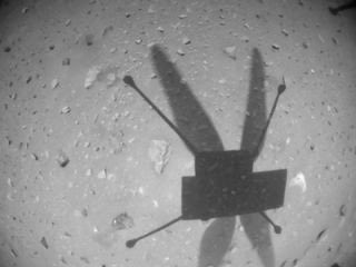 ahenk75's tweet image. Please, #Ingenuity,
May you inspire those
who choose our destiny,
There is no need to pause.
#ReturnToTheMoon #MoonToMars #Space 
Go #Artemis @NASAPersevere @NASA