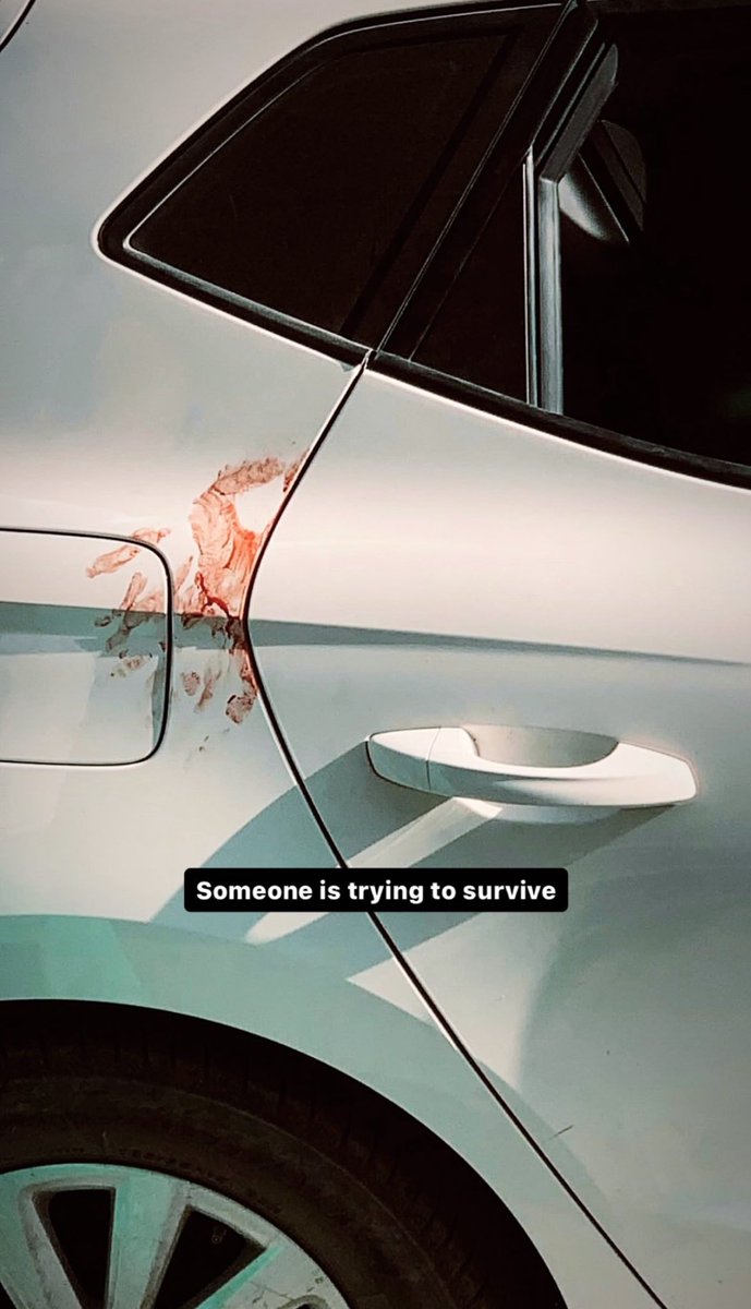 Someone is trying to SURVIVE!!!
#Gaza_Genocide