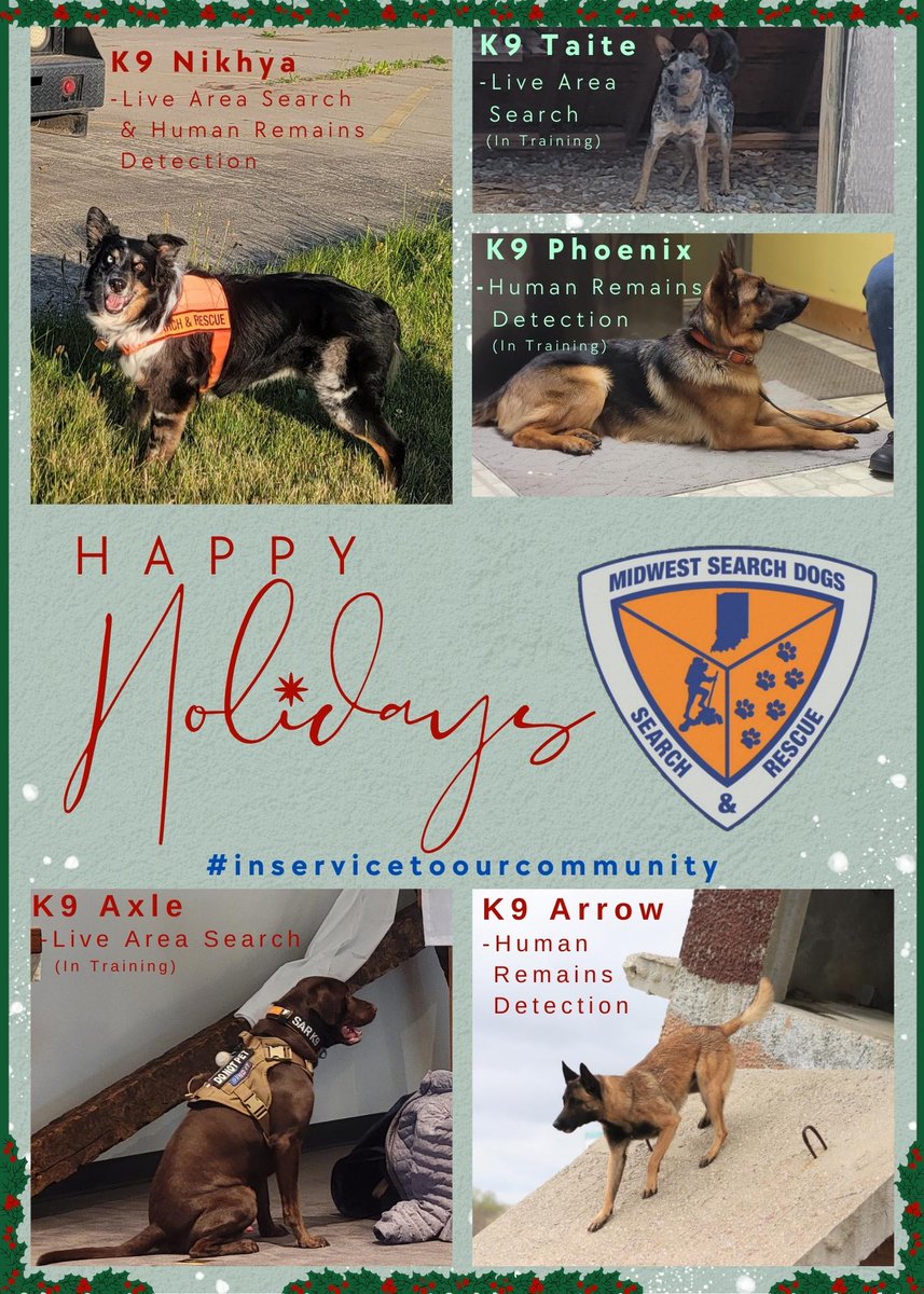 MSD_SearchDogs's tweet photo. These guys hope you fetch some joy and have a pawsitively amazing holiday season! 🐾🎄

#inservicetoourcommunity https://t.co/UU3ZoCZ87L