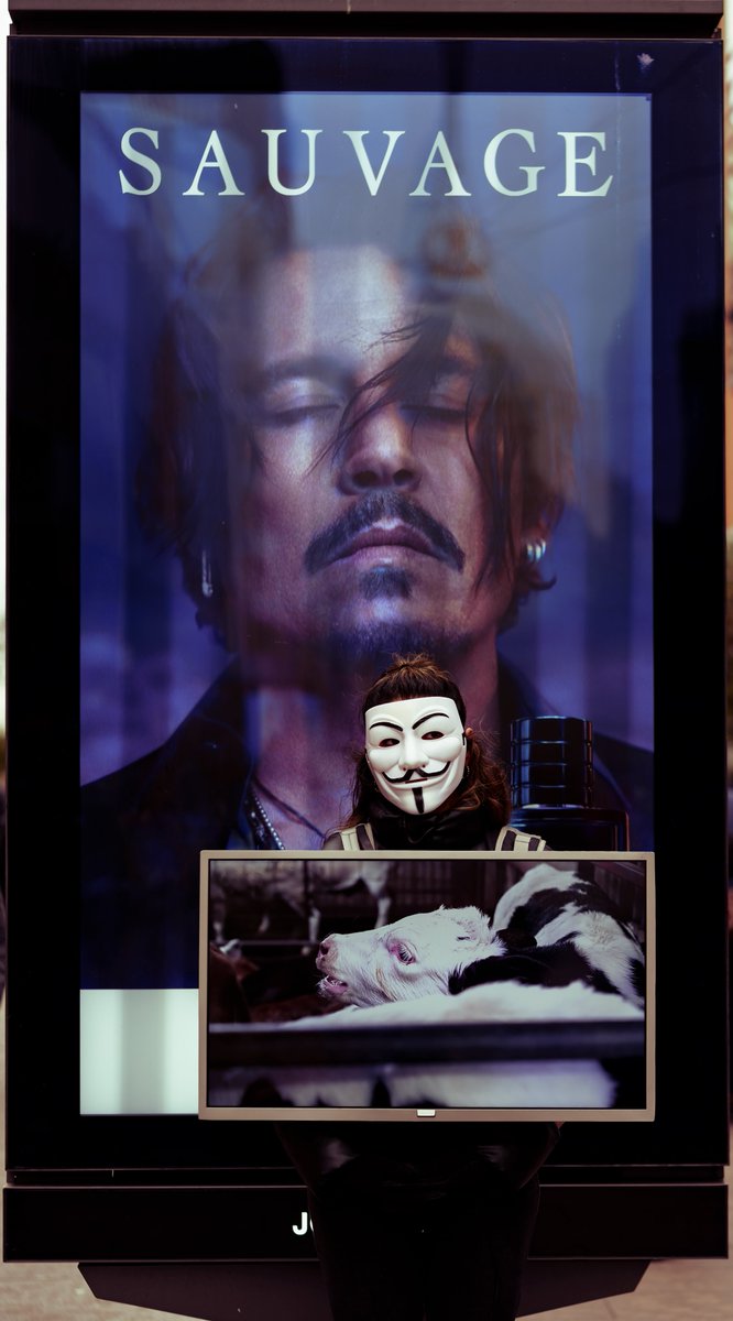 Moonlitaleskids's tweet image. SAUVAGE 
#anonymousforthevoiceless
#veganism #streetphotography #photography #photo #photographer