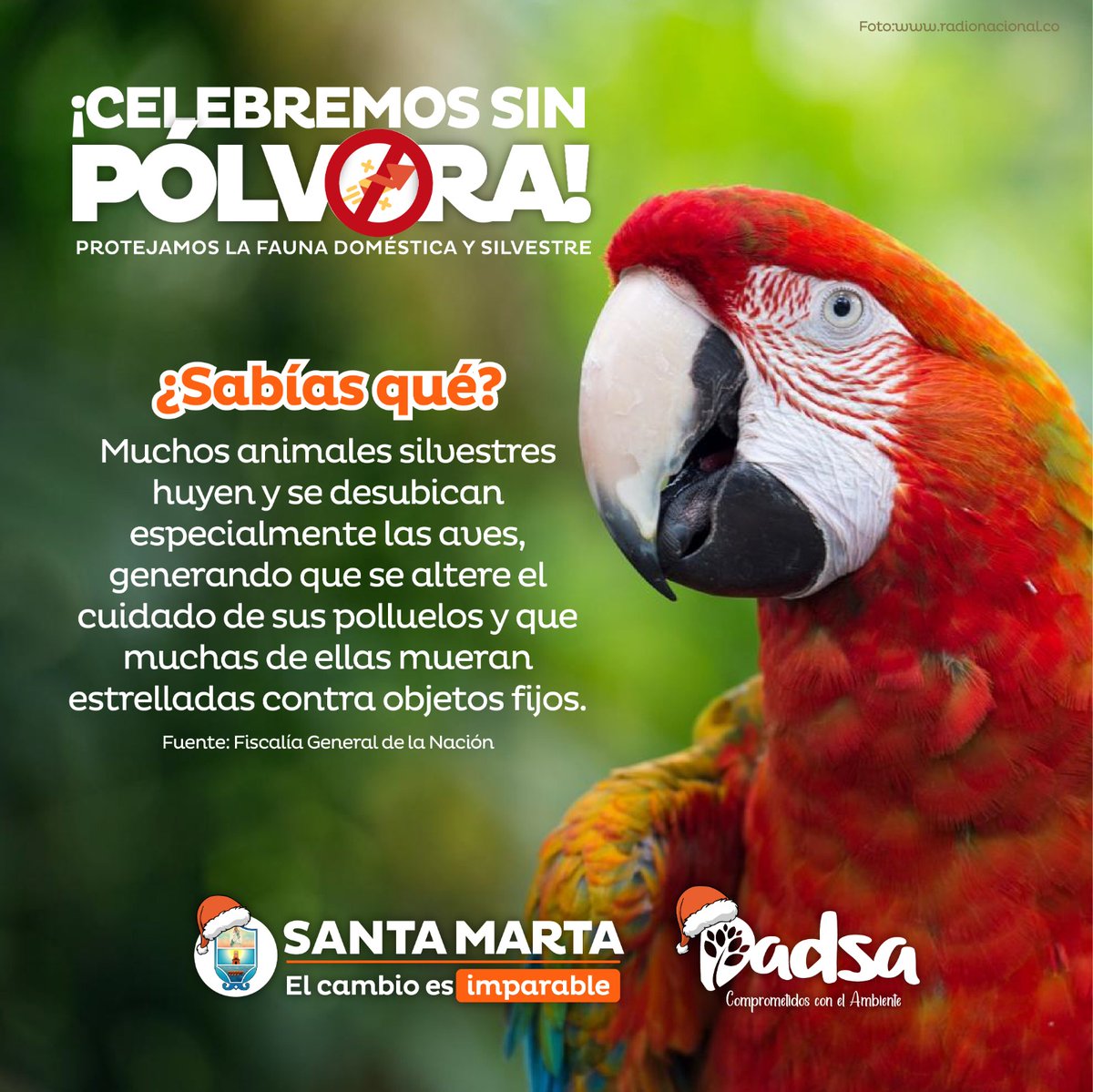 DADSASM's tweet image. Disfruta estas fechas especiales sin pólvora, recuerda que afecta tanto a las personas como a nuestra fauna silvestre y animales en casa. 

@VirnaJohnson @SantaMartaDTCH