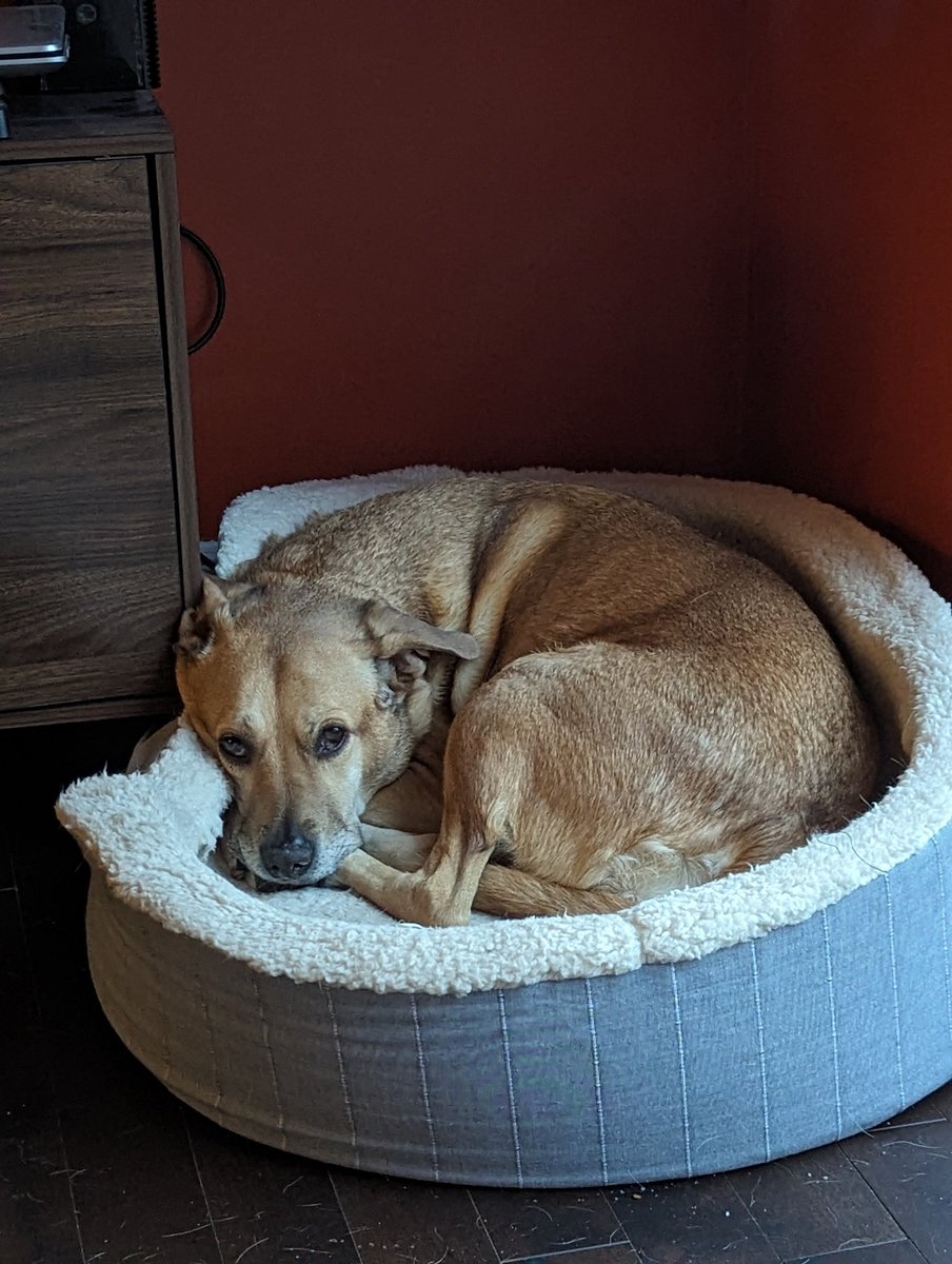 Vile Creature (@vilecreature666) on Twitter photo A very happy 10th birthday to Hex Creature. A very happy 10th birthday to Hex Creature.