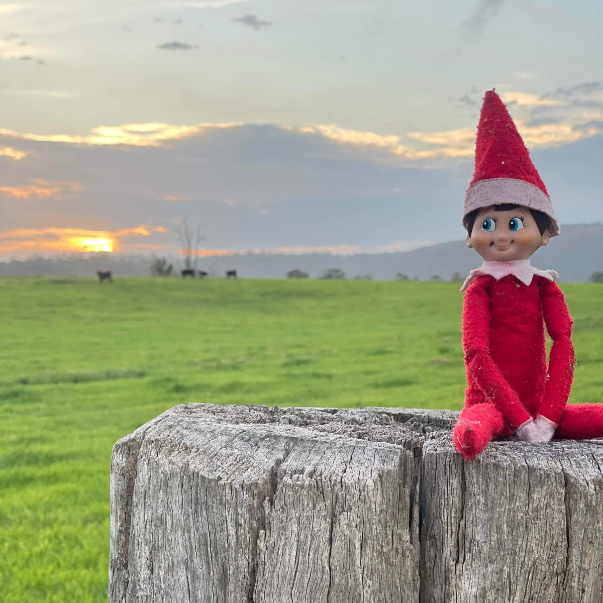 Wishing you all a very Merry Christmas and a happy New Year 🎄✨ 

We hope you have a happy and safe holiday break. We are looking forward to working with you all in the new year. We're now closed for the holiday period and will be back on deck Monday 8 January 2024.