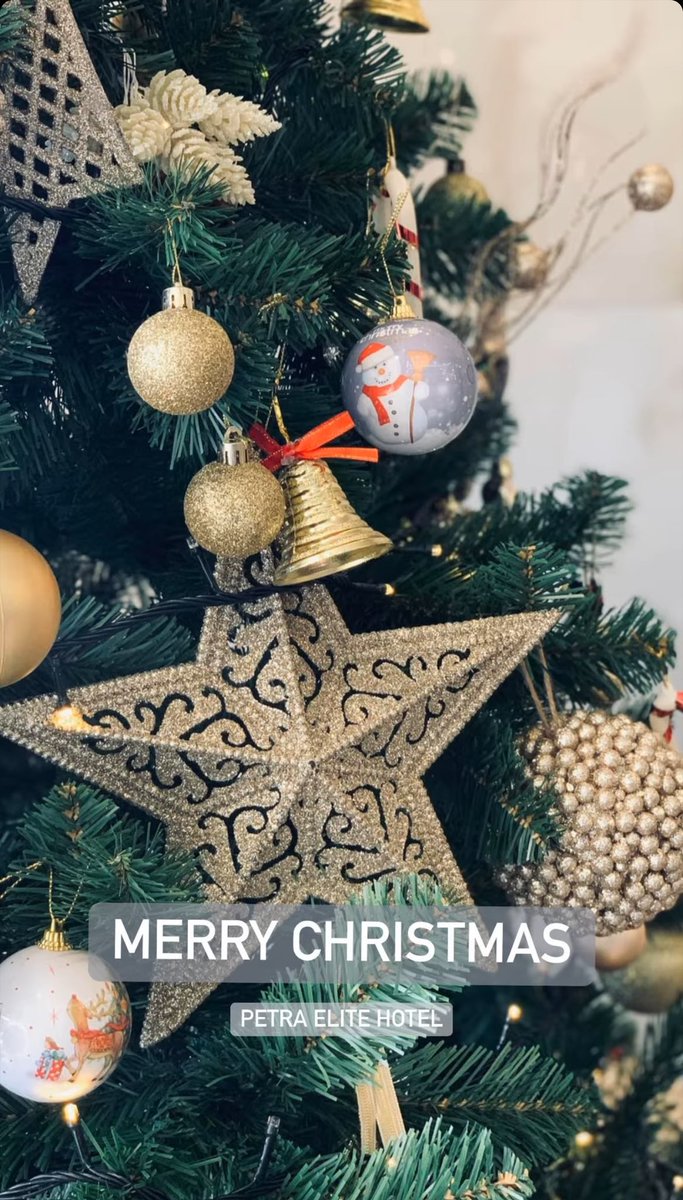 #Christmas #christmastree2024 🎄🥰