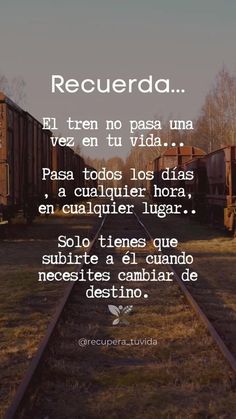 EscueladeVida21's tweet image. 