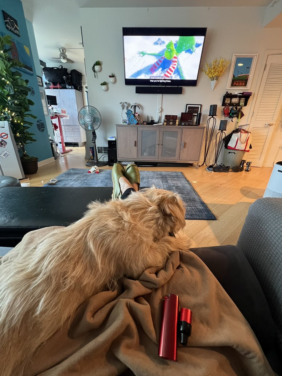incognEAToStyle's tweet photo. How I’m spending a few hours on the eve 😊🎄 #ChristmasEve #Football #TheGrinch https://t.co/WEOzgMYxMn