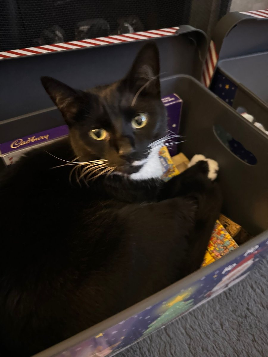 Merry Christmas to all from the Trickett Family supporting <a href="/AlderHeyCharity/">Alder Hey Children’s Charity</a> with our <a href="/Matalan/">Matalan</a> pyjamas #2023