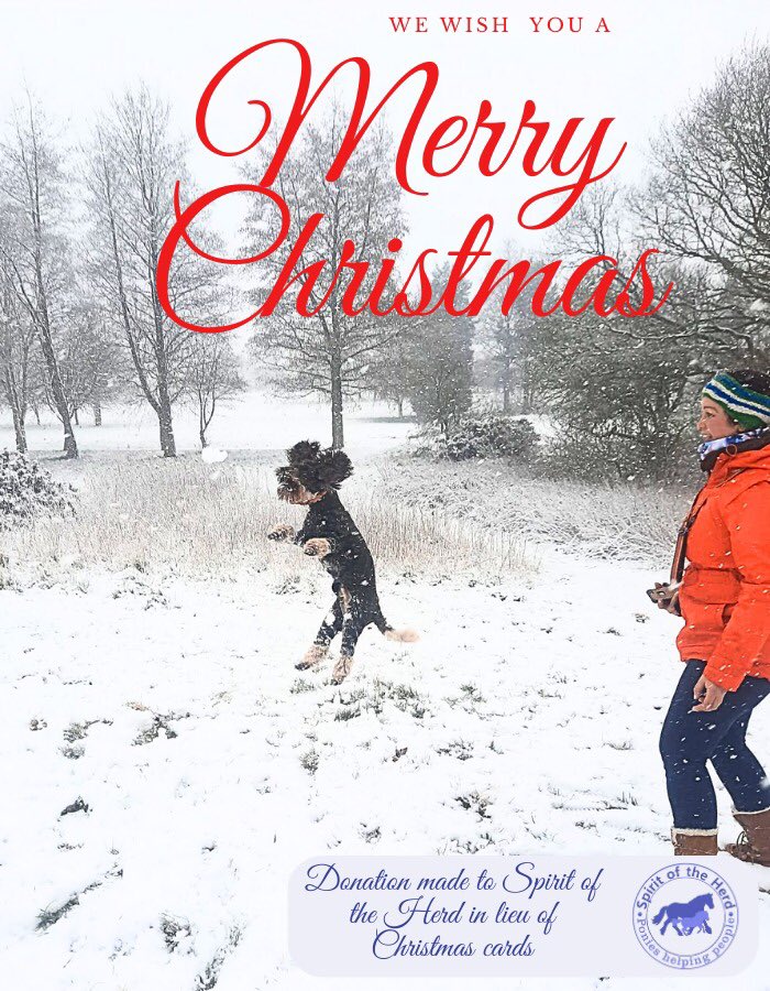 May this festive break bring you comfort and peace, whatever you’re going through 🕊️🤍 Love from Holly and Ani 🐾 xxx #AniAdventures