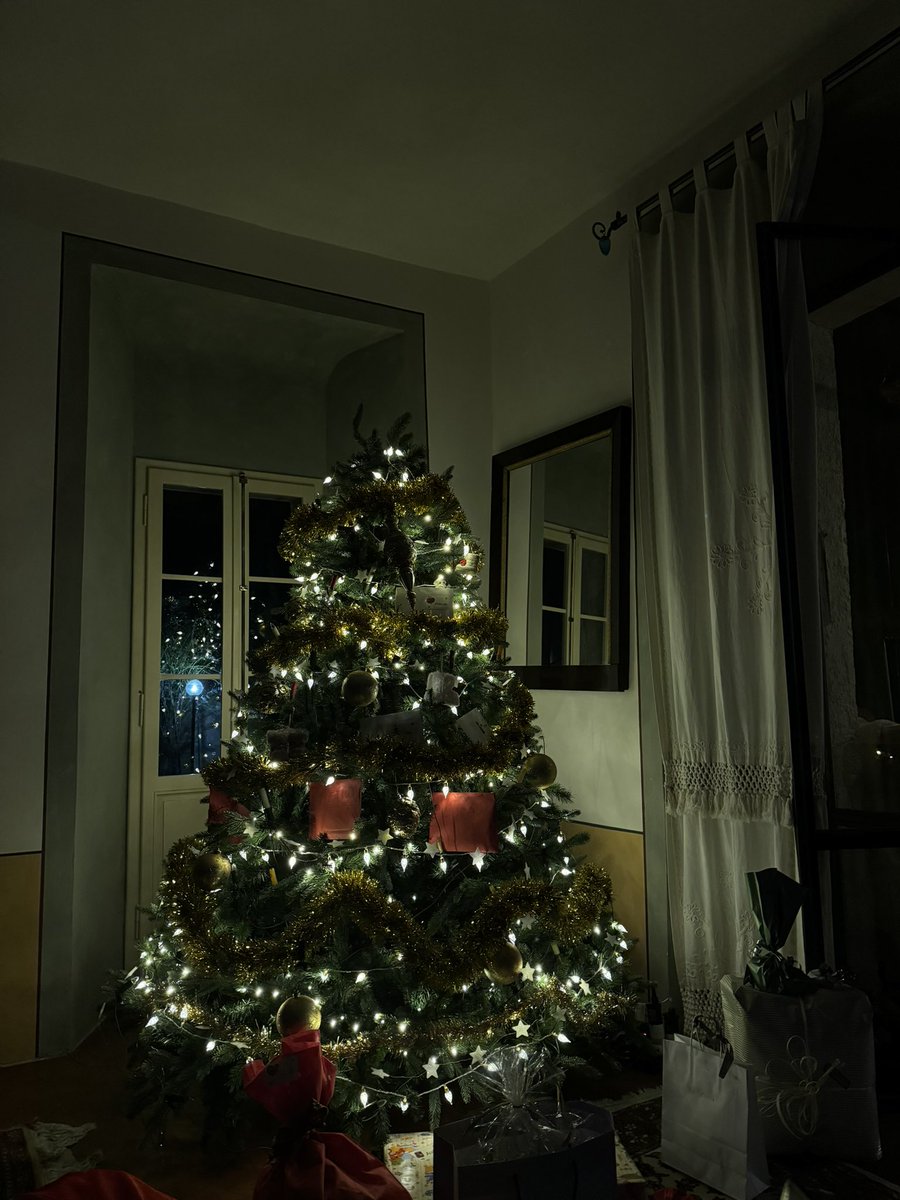 Come procede il cenone della vigilia ragazzi? 🎄