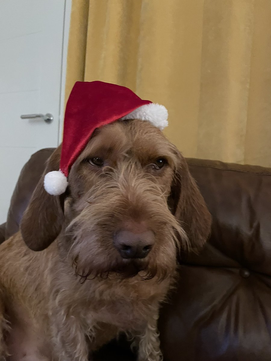 SeanGameDesign's tweet photo. Have a trexcellent xmas everyone! 🦖🎅🎁 https://t.co/kKG8WKOhk3