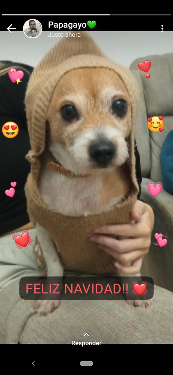 Montsemcum's tweet photo. https://t.co/PoW0XeD6O3