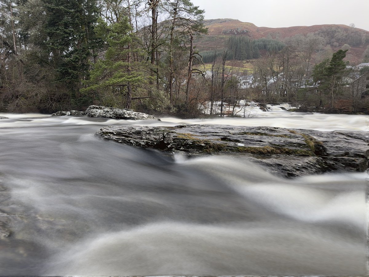 Mytvcinema.com tweet media