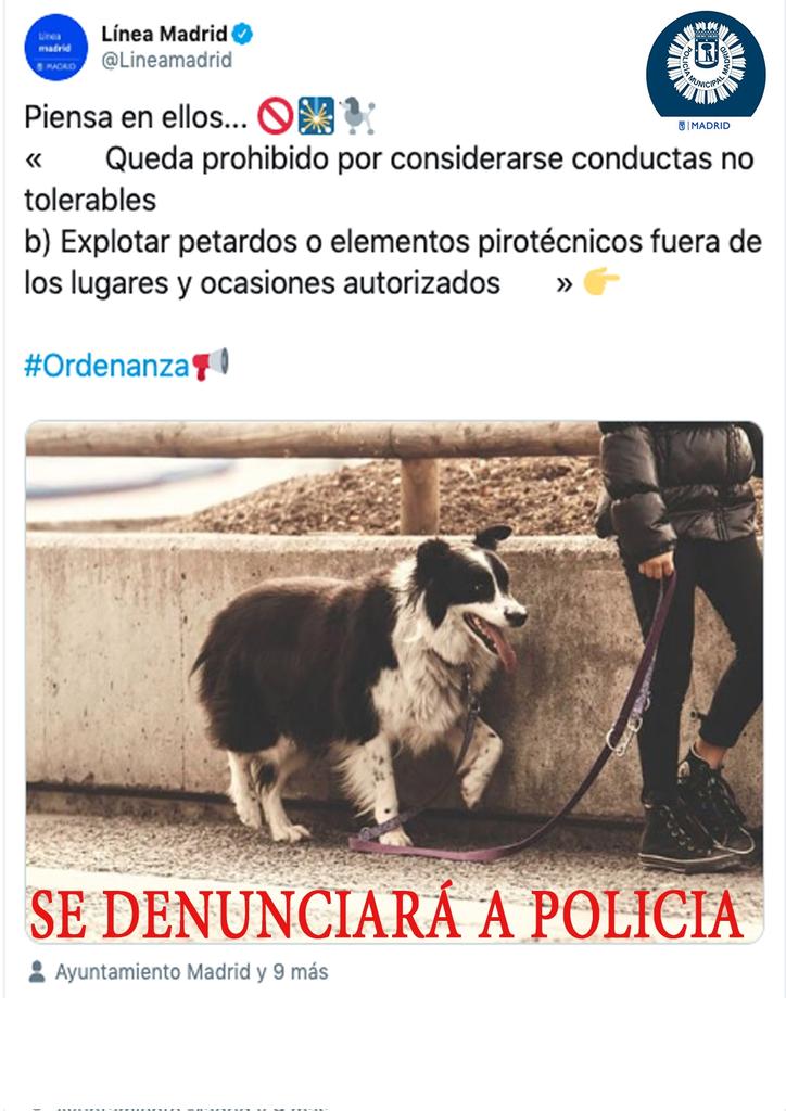 Haciendo las maletas 🌍🐾 tweet media