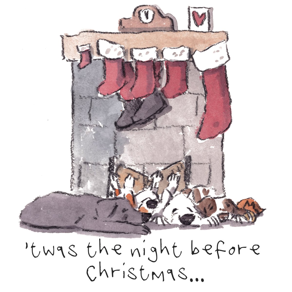 Good night, lovely people and lovely dogs.
The team are resting for tomorrow.
Sleep well and sweet dreams.
I'm wishing you the very best for a really wonderful day tomorrow. 
#hoorayfordogs #labrador #beagle #westie #springer #redsquirrel #FatherChristmas