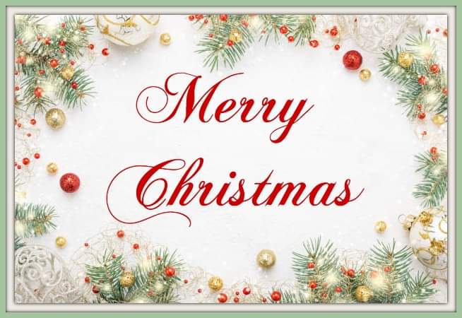 bournepool's tweet image. Merry Christmas to all our friends, followers and fellow outdoor pools - have a great one ⛄️🎅🎄