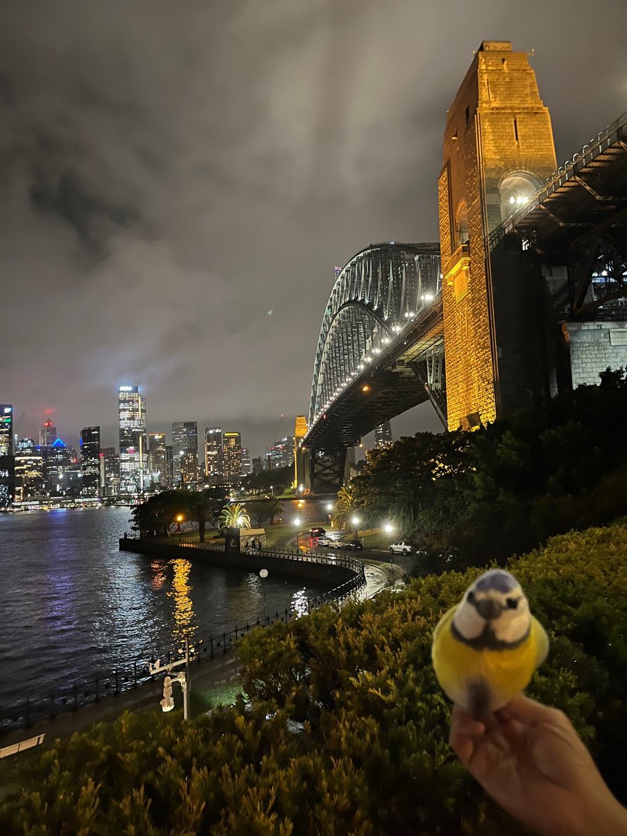 Guckt mal! Die #reisemeise hat einen Heiligabend Ausflug in Sydney gemacht! Sieht ihr das Opernhaus und die Sydney Hafen-Brücke! <a href="/Bettilotta/">EmotionalPlüsch🐺🐢🐲🦕🦩und Menschin👩</a>