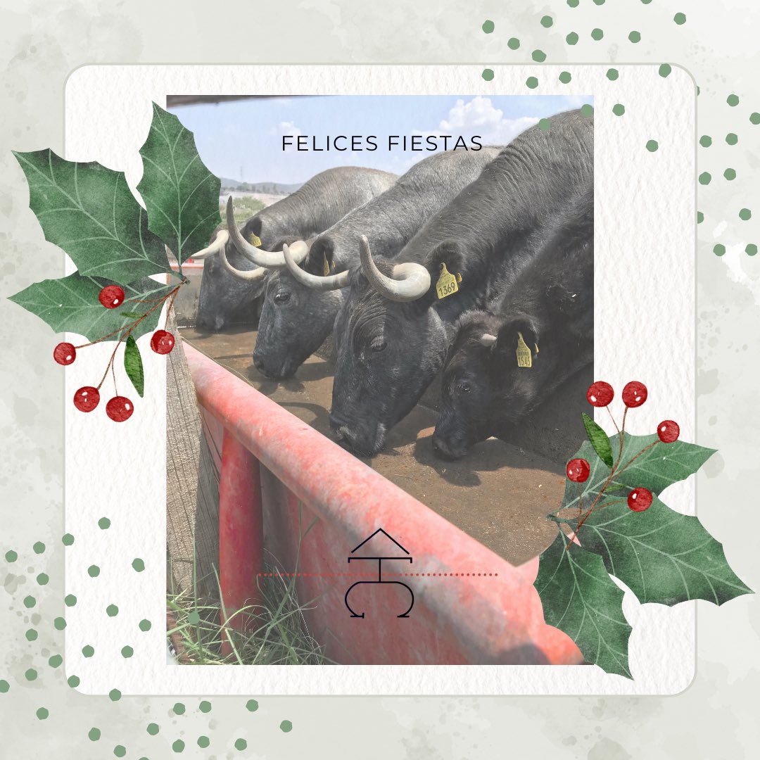 Los mejores deseos en estas fechas y en el año venidero. #Navidad2023 #mexico #taurino