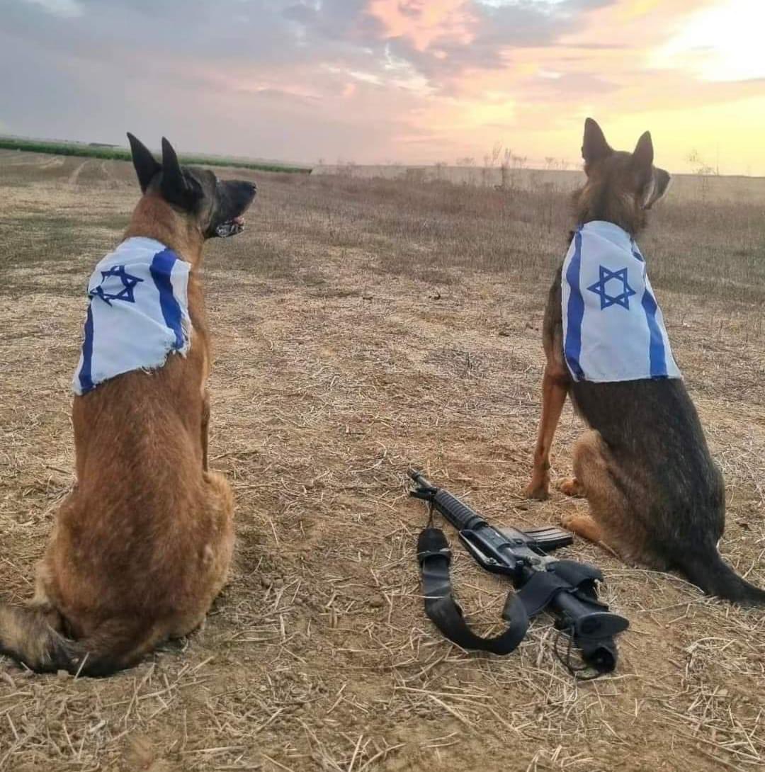 TheMossadIL's tweet photo. Paw Patrol ain't got nothing on these pups! 🐾 https://t.co/Ssc1SLuG0T