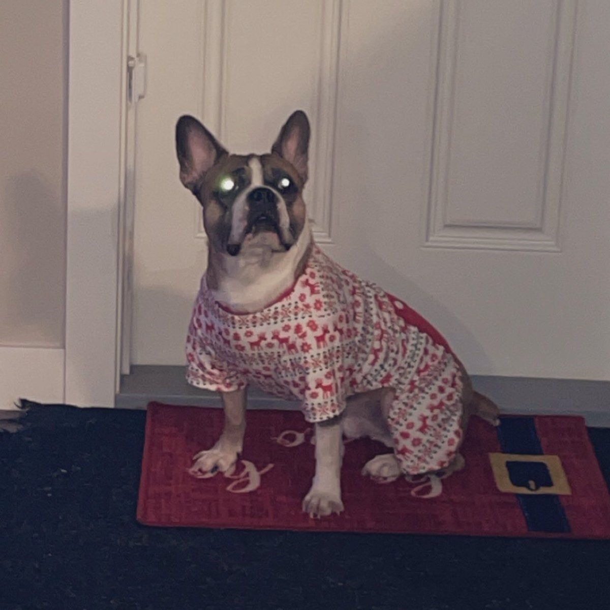 Merry Xmas Eve to those who celebrate. I’ll be spending the night cuddling my dog in our pjs 🥰🎄