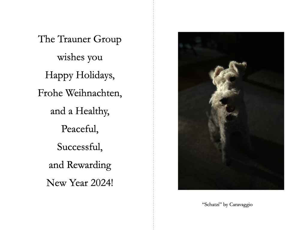 The Trauner Group wishes you Happy Holidays, Frohe Weihnachten, and a Healthy, Peaceful, Successful, and Rewarding New Year 2024!