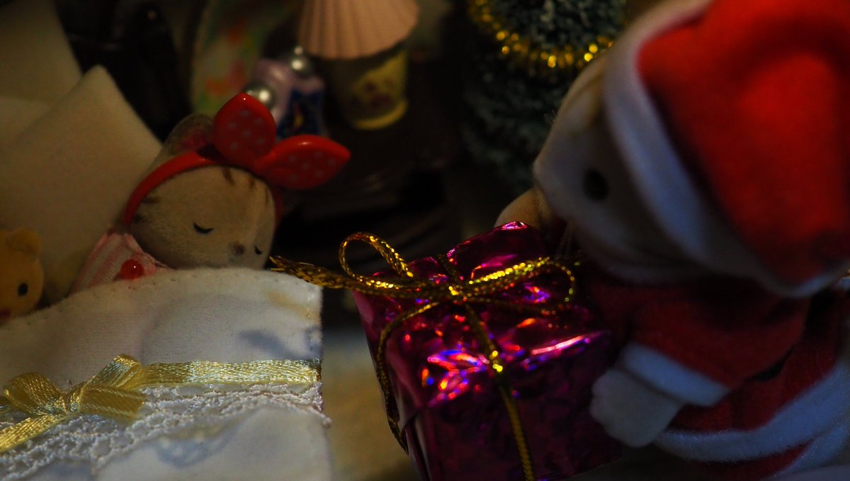 シマネコ tweet media