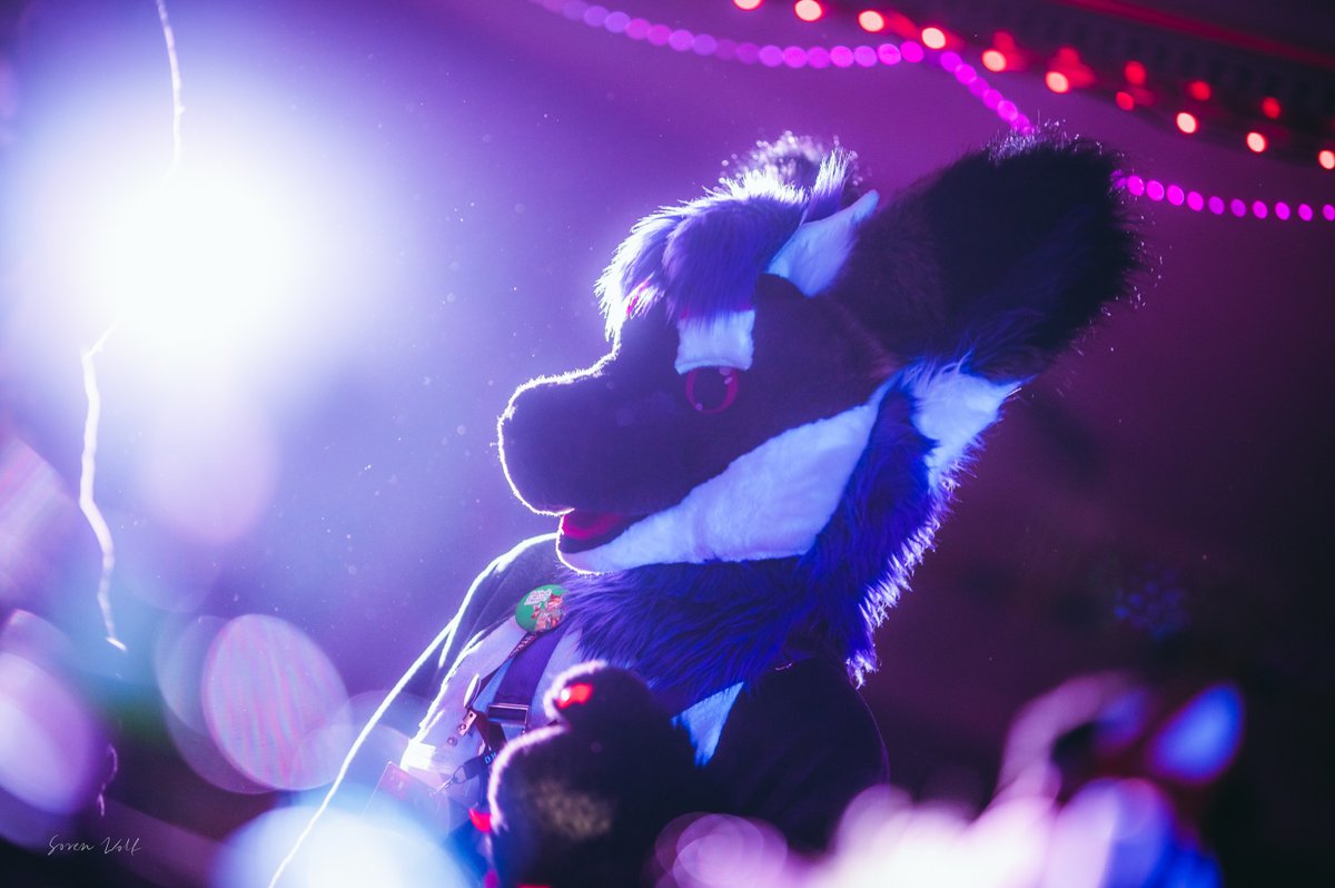 Hey hey, people!
Not a lot of posting recently, but Merry Christmas everyone :D
📸<a href="/sw__wolf/">sw__wolf</a>