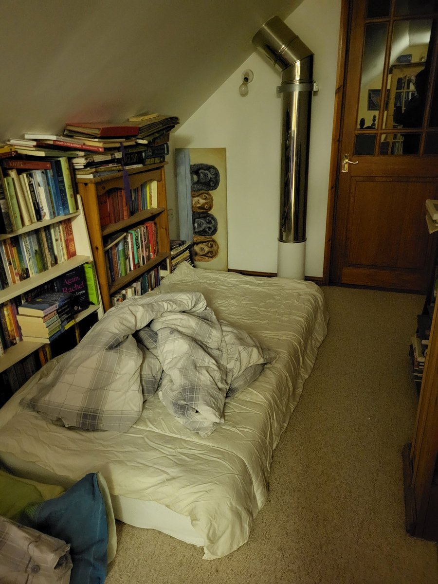 Sarah Stevenson tweet media