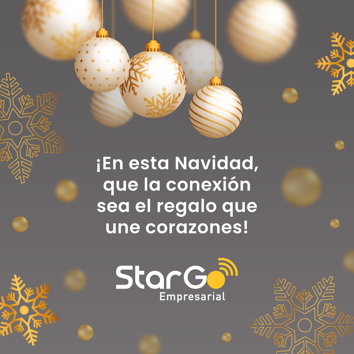 stargoempresarial tweet media