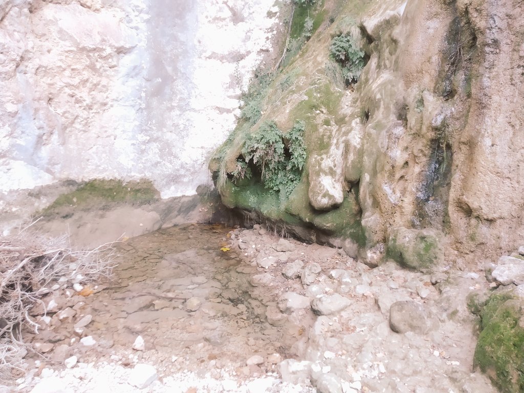 CarlosZooUIB's tweet photo. Nice trekking day during the Christmas eve but...for entomologists it is impossible to ignore the water spots! #Simuliidae #Culicidae #Culiseta 🎄 https://t.co/KlqH8uXLmE