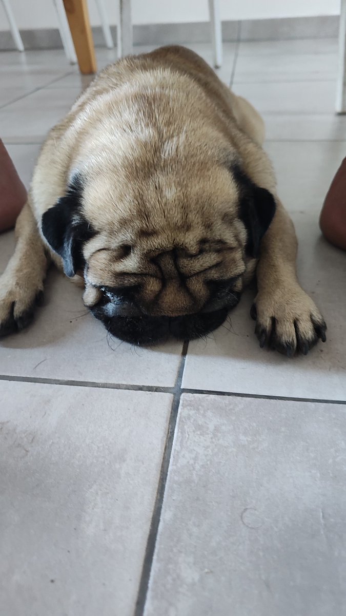guillotef's tweet photo. #BuenaSemana ¿Falta mucho para que llegue papá Noel?  Tinku desde Río Tercero.. https://t.co/XiJzqgyLji