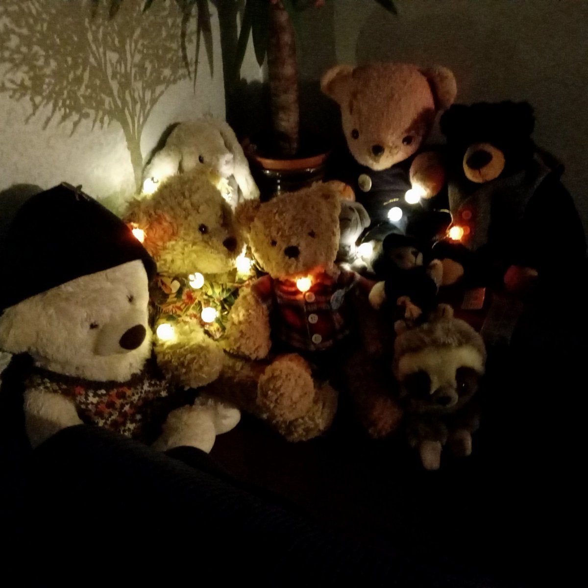andCyberdude's tweet image. We have been very quiet this year as we lost our hoom dad and had to look after hoom mum who is still very sad, but we would like to wish all our pals a very Merry Christmas and will be around more in the New Year