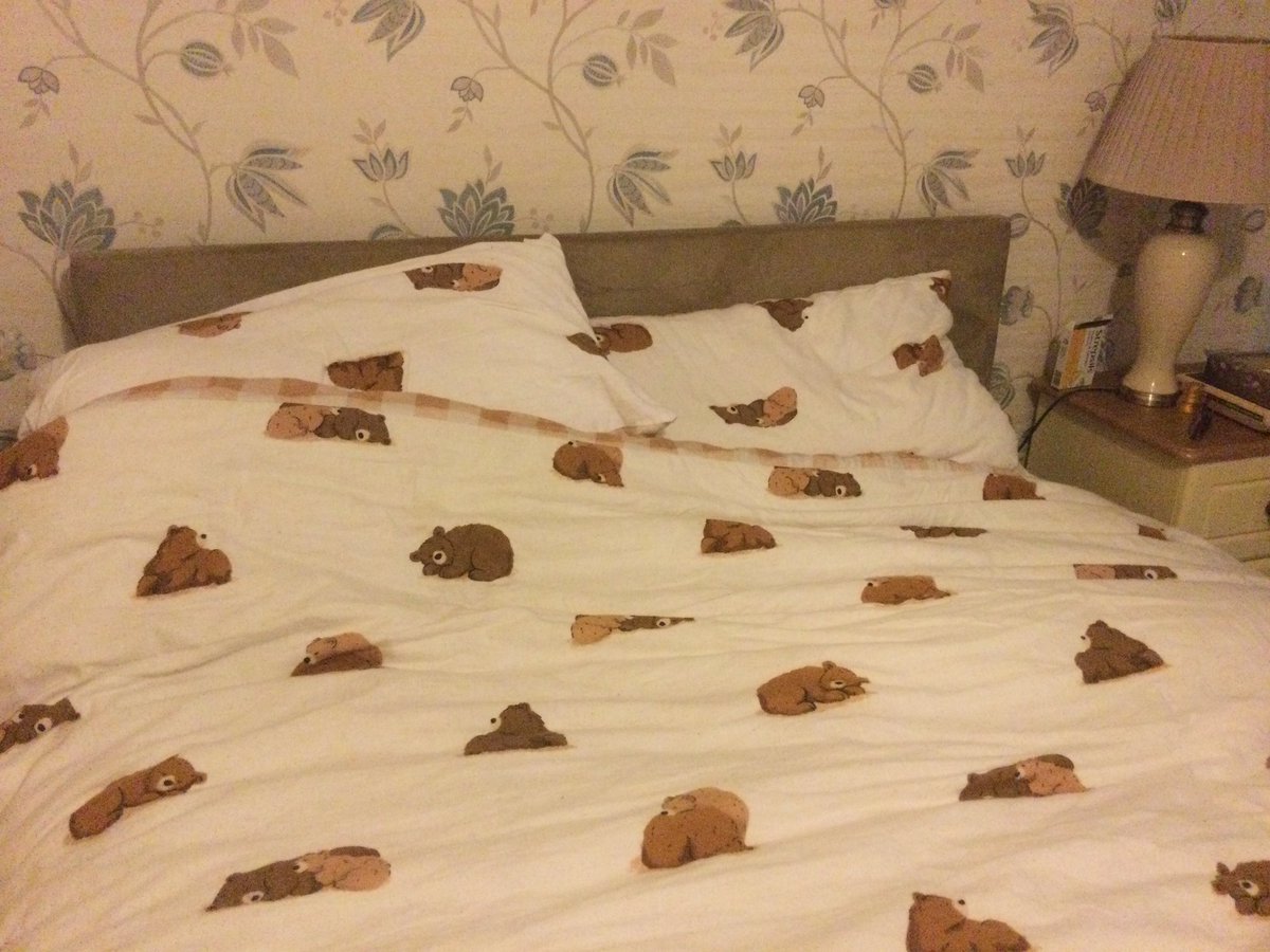 I don’t think my mother knows the term ‘bear’ but this is the bedding she chose for her 39 year old, fat, slightly hairy, gay son. Knocked it out of the park I’d say. #DuvetKnowItsChristmas