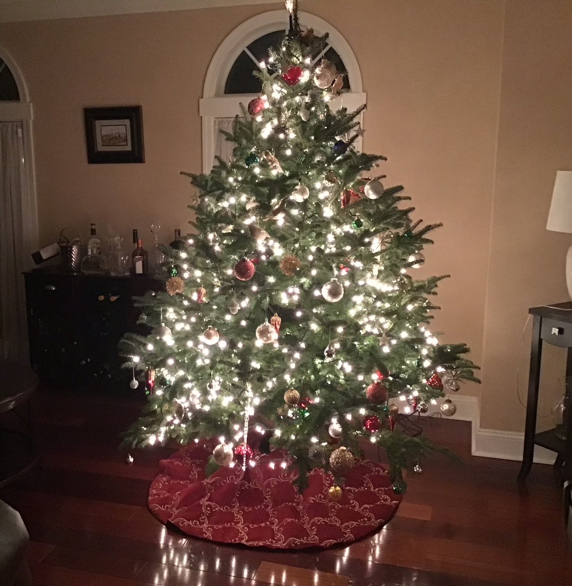 DiemerLisa's tweet photo. Merry and bright wishes this Christmas Eve. 🎄 Share a photo of your tree before it's too late! https://t.co/fJvotPGxqv