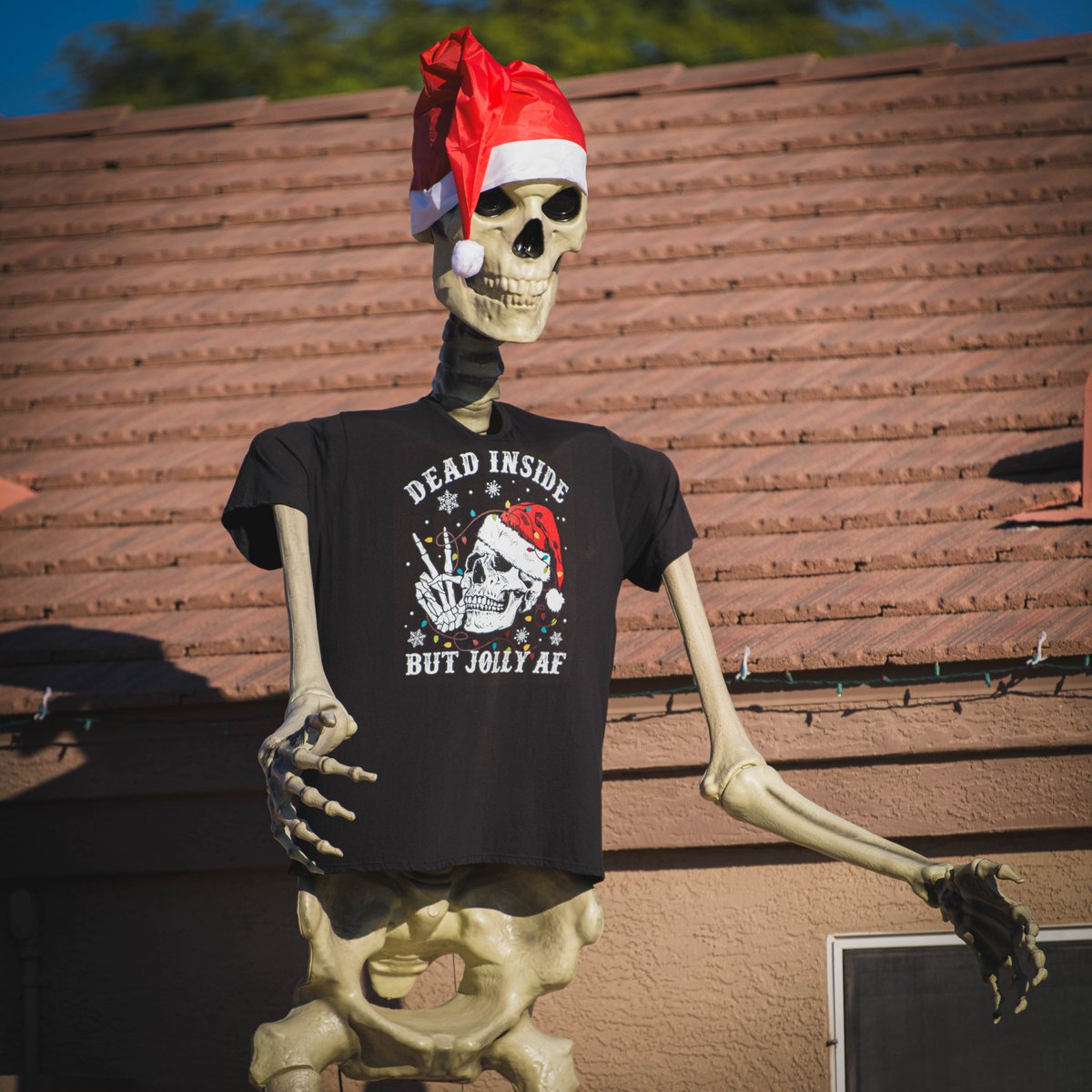 desertmango5's tweet photo. @Vincemarotta For some reason I think of you every time I drive past my neighbor's house. I hope your Christmas is jolly AF!!! https://t.co/622OCMP2rn