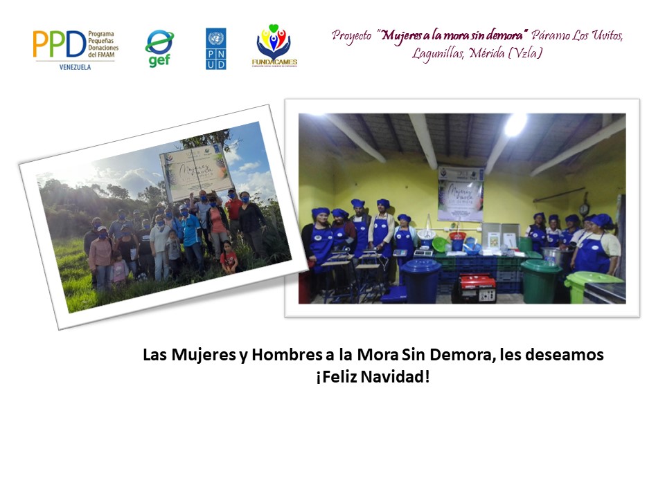 Fundacames_Mora's tweet photo. Las mujeres y hombres a la mora sin demora les deseamos una ¡Feliz Navidad!
#ppdvenezuela #mujeresempoderadas https://t.co/3dZ7mLicac