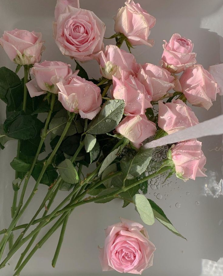 rcklandszn21's tweet photo. drop "?" and i'll tell you a color to look for on pinterest and the first four photos are your aesthetic!    

mine = pink https://t.co/DzW1Qpiuc7