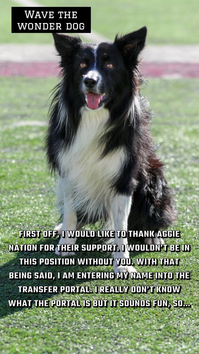 Tru11Dan's tweet photo. This one hurts! 😂 #SaveWave #TransferPortal #OhNo #Woof #AggieUp #JustForFun https://t.co/jEaTtSuNHt